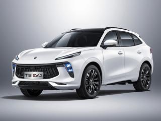 Forthing T5 EVO MIDl Option
