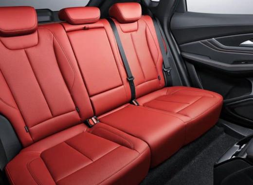 Forthing T5 EVO MIDl Option